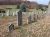 Logan Headstones at Bethel Church Cemetery